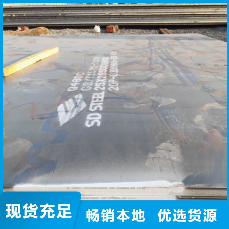 600L汽车钢板实体大厂家