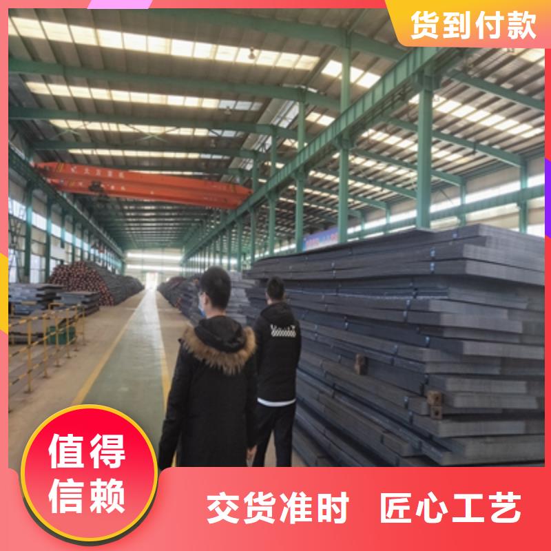 定做500L高强钢板