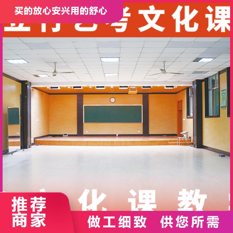 艺考文化课集训-【高考小班教学】理论+实操