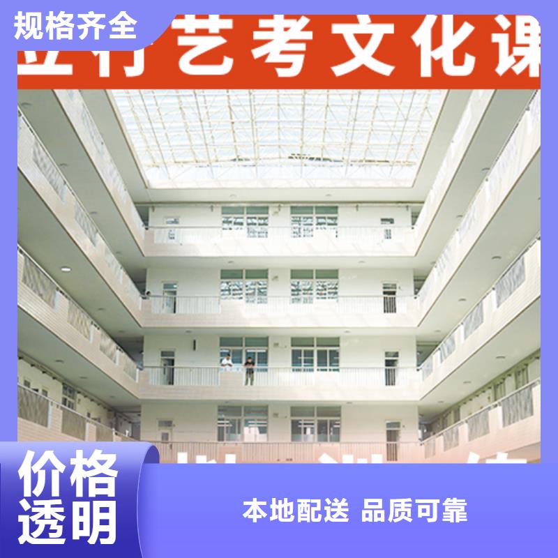 艺考文化课集训-【高考小班教学】理论+实操