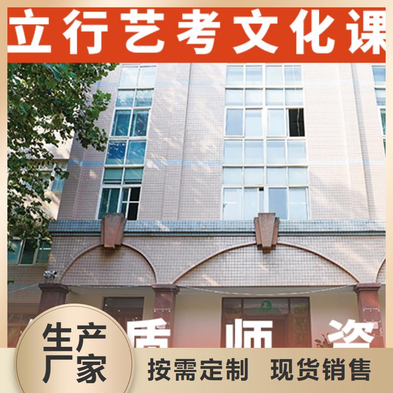 艺考文化课集训-【高考小班教学】理论+实操