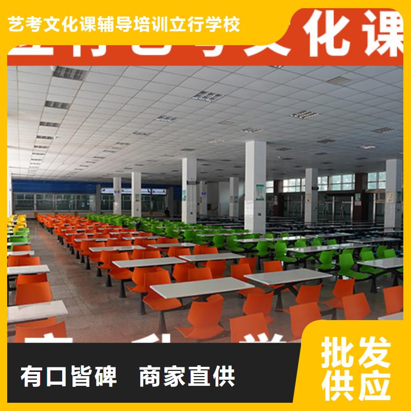 艺考文化课集训-【高考小班教学】理论+实操