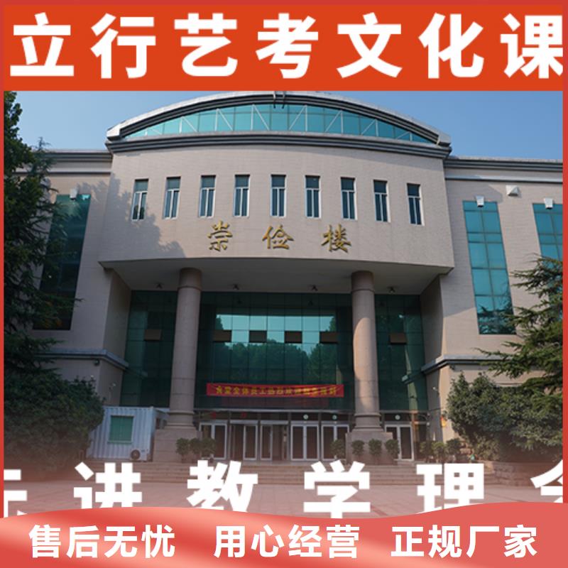 艺考文化课集训-【高考小班教学】理论+实操