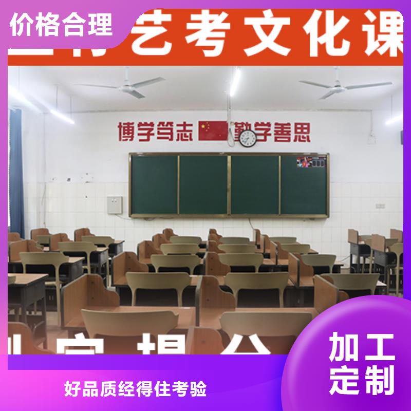 艺考文化课集训-【高考小班教学】理论+实操