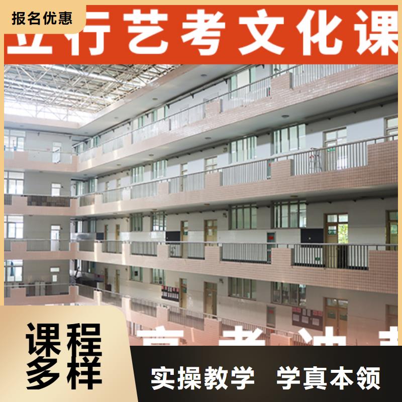 【艺考生文化课艺考文化课培训全程实操】