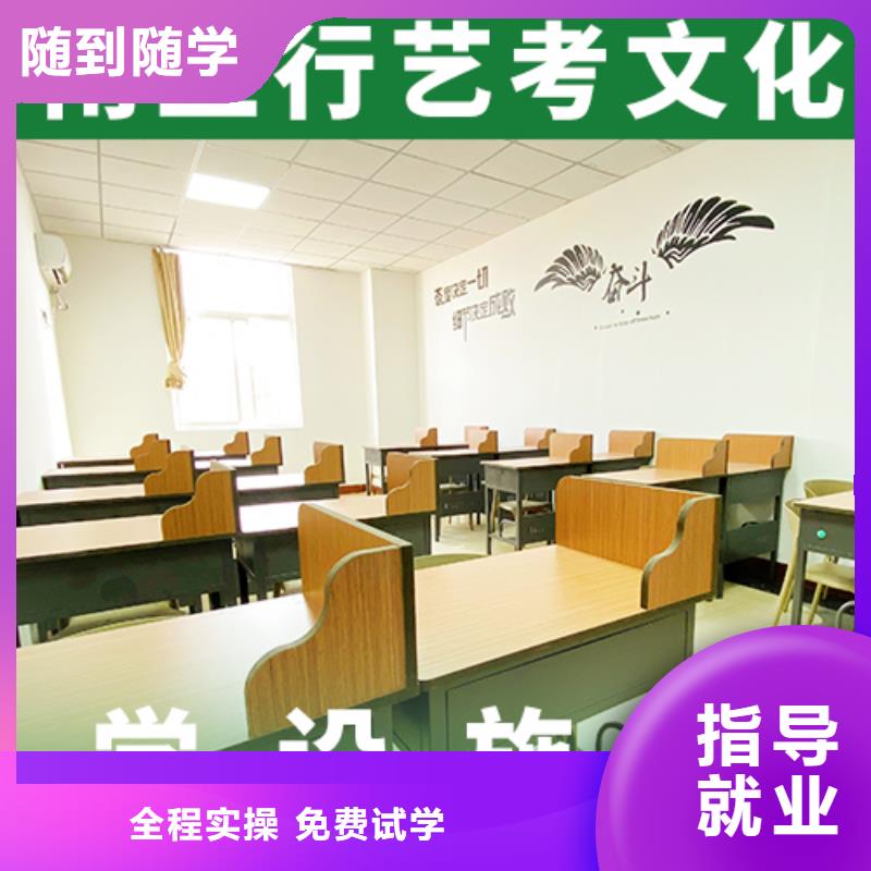 艺考生文化课艺考培训机构学真本领