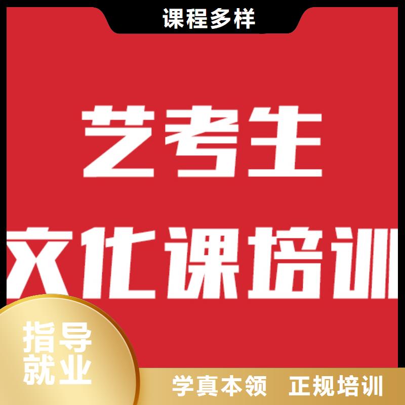 艺考文化课,高中一对一辅导随到随学