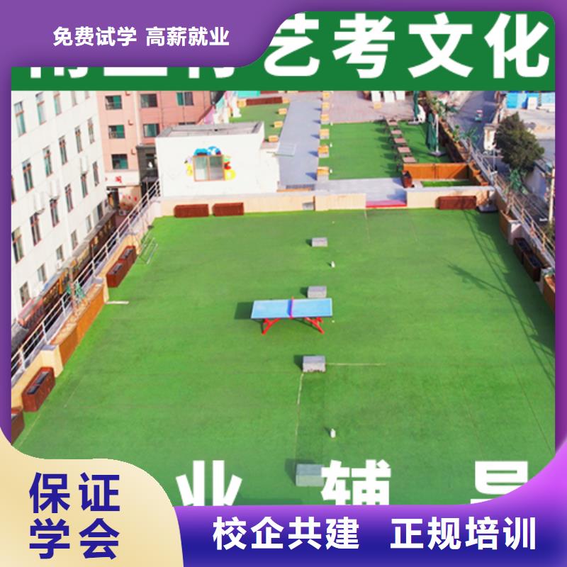艺考生文化课,高考化学辅导理论+实操