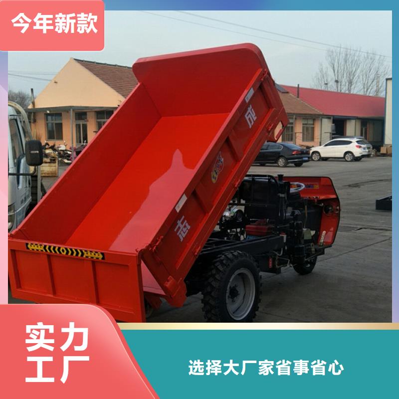 发货及时的（瑞迪通）柴油农用三轮车经销商