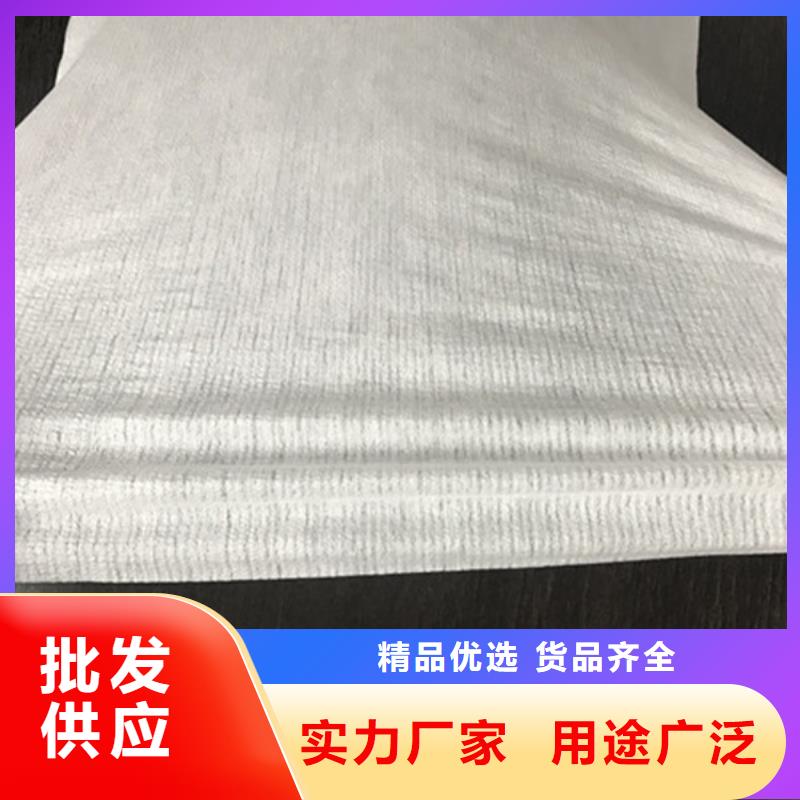 #纳米锂电隔膜无纺布#到厂参观