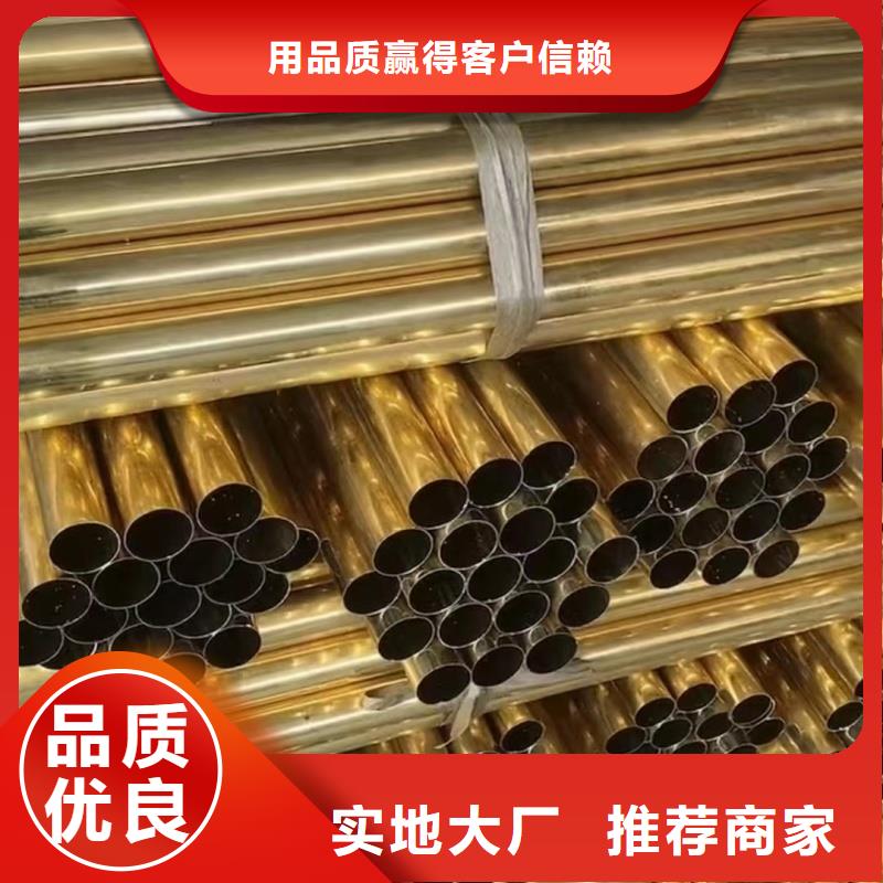 6101铝排放心选择