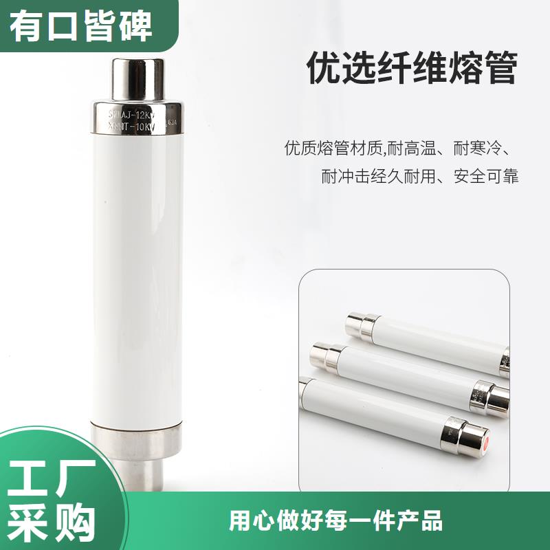 XRNP-10kv/0.5A高压熔管