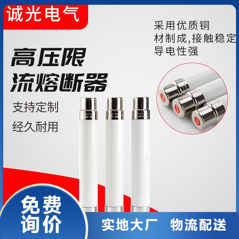 RNK-6/200A双管限流熔断器