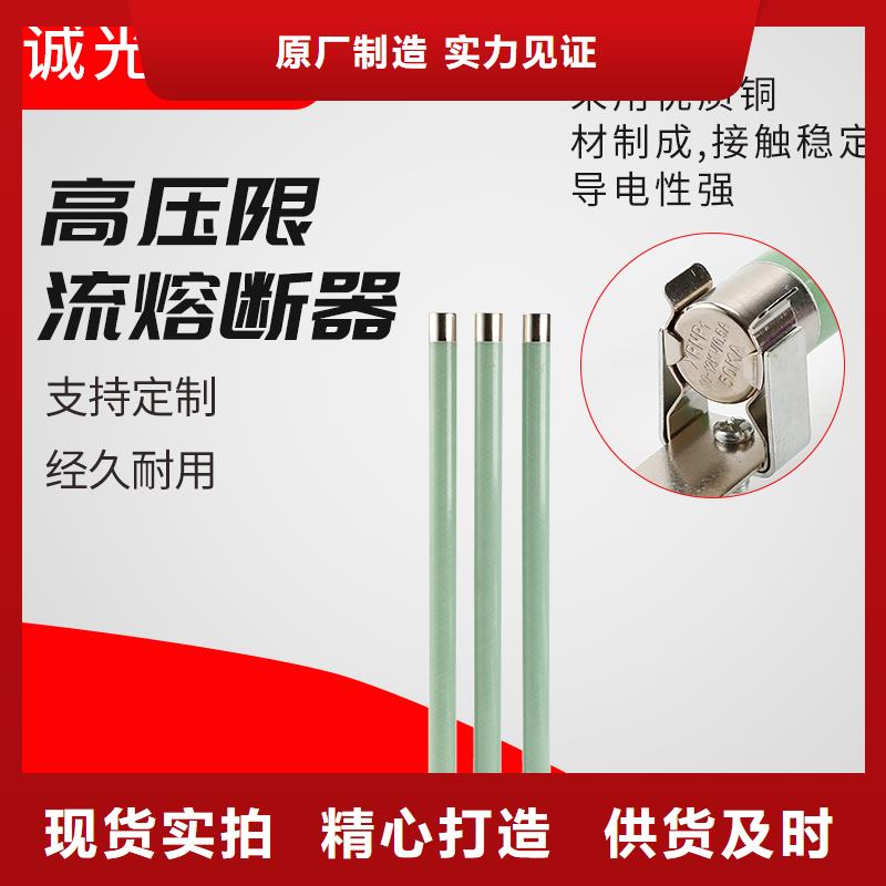 XRNP-10kv/0.5A高压熔管
