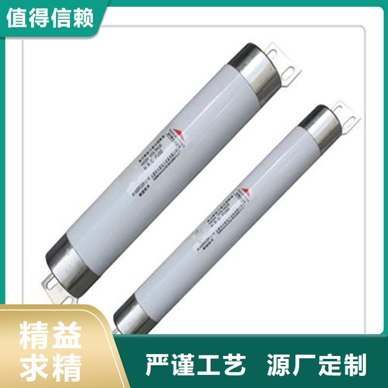 XRNT1-12/160A限流熔断器