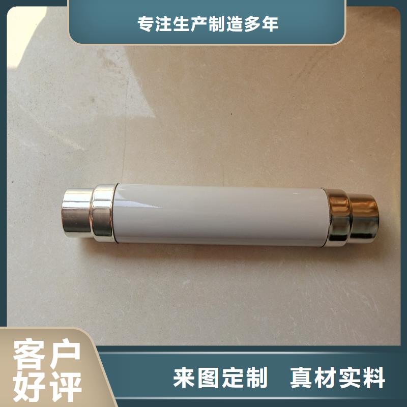 XRNP-10kv/0.5A高压熔管
