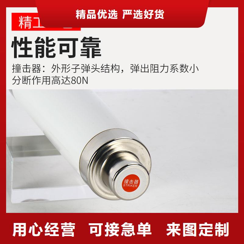 XRNP-10kv/0.5A高压熔管