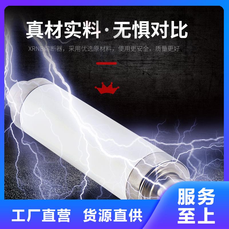 XRNP-10kv/0.5A高压熔管