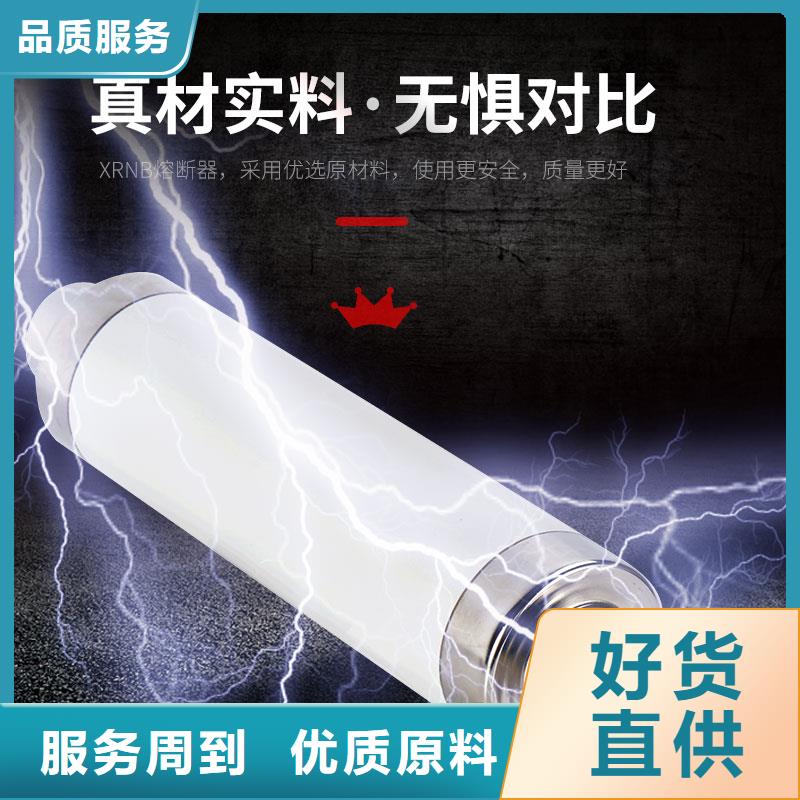 XRNP-10kv/0.5A高压熔管