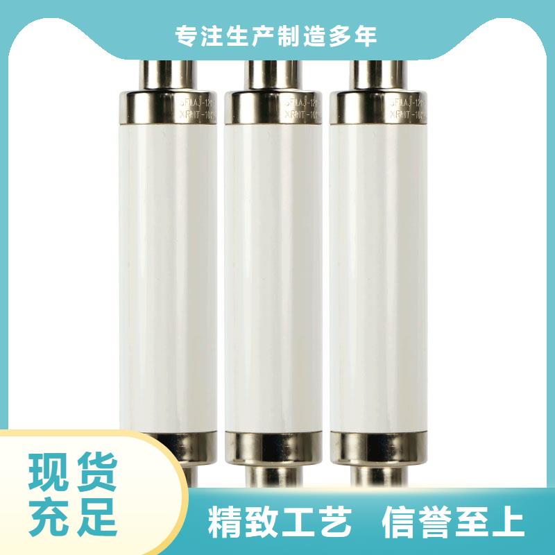 XRNP-10kv/0.5A高压熔管