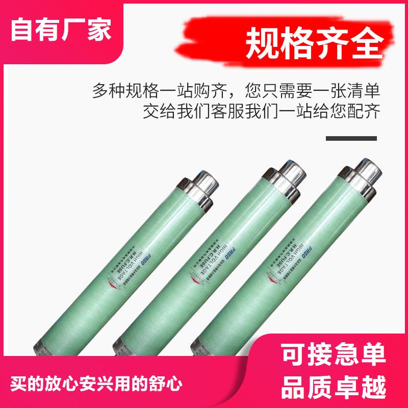 XRNP-10kv/0.5A高压熔管