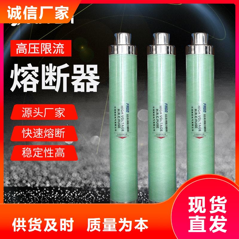 XRNP-10kv/0.5A高压熔管
