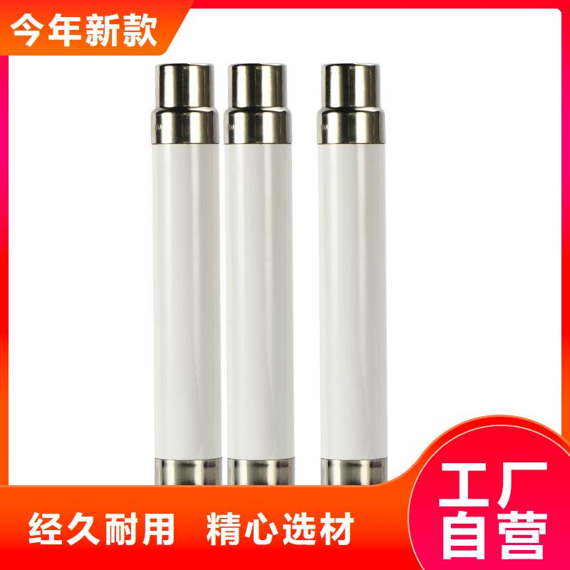 XRNP-10kv/0.5A高压熔管