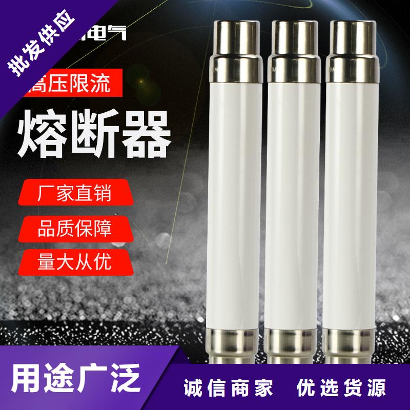 XRNP-10kv/0.5A高压熔管