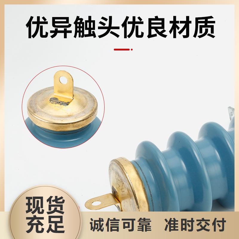 HY5WS-17/45L电机型避雷器