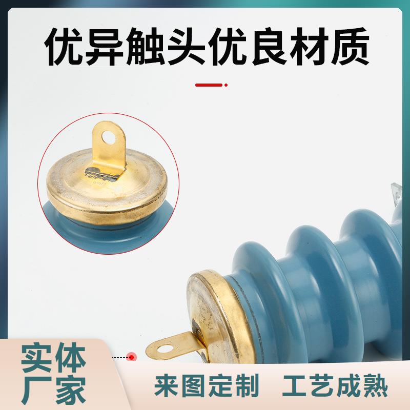 HY10WZ-17/45电站型避雷器