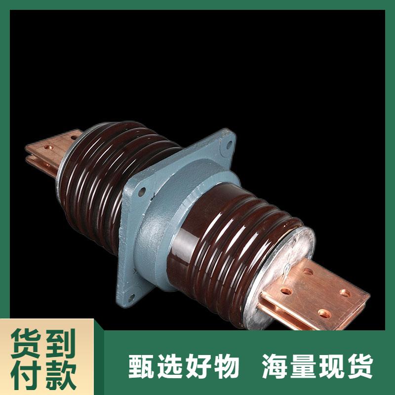 FCRG-35/1600A高压硅胶穿墙套管