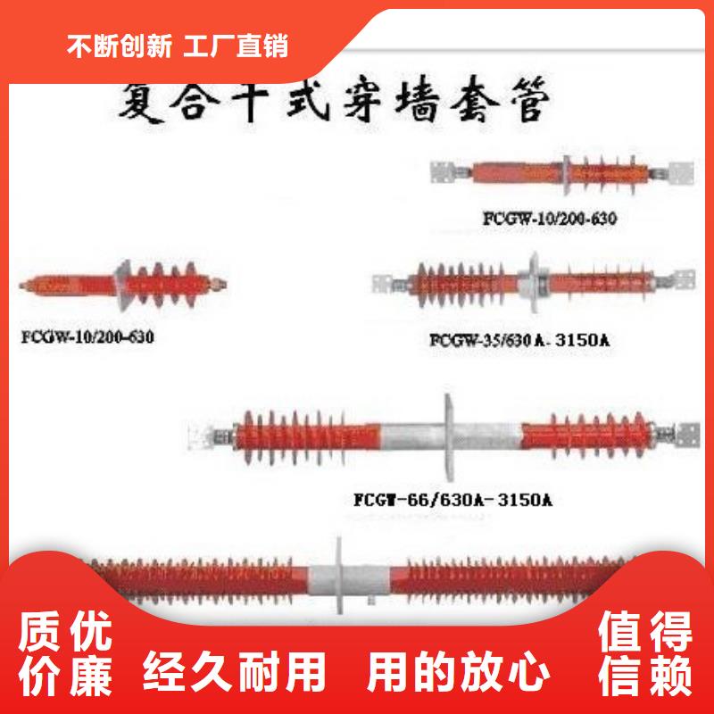 CWLB-40.5/3150A高压套管
