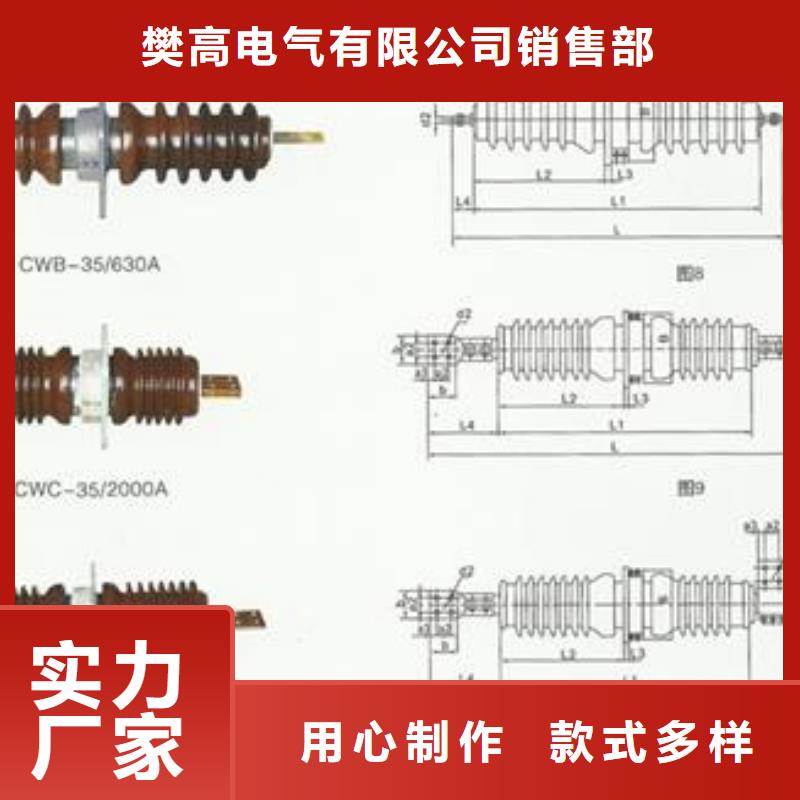 CWC-40.5/2000A高压套管
