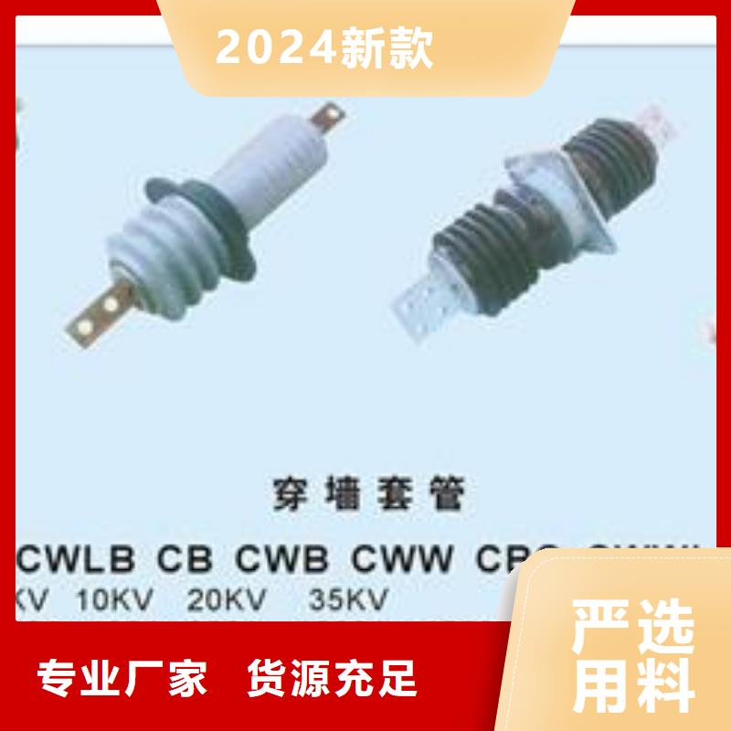 CWWC-35/1000A高压套管