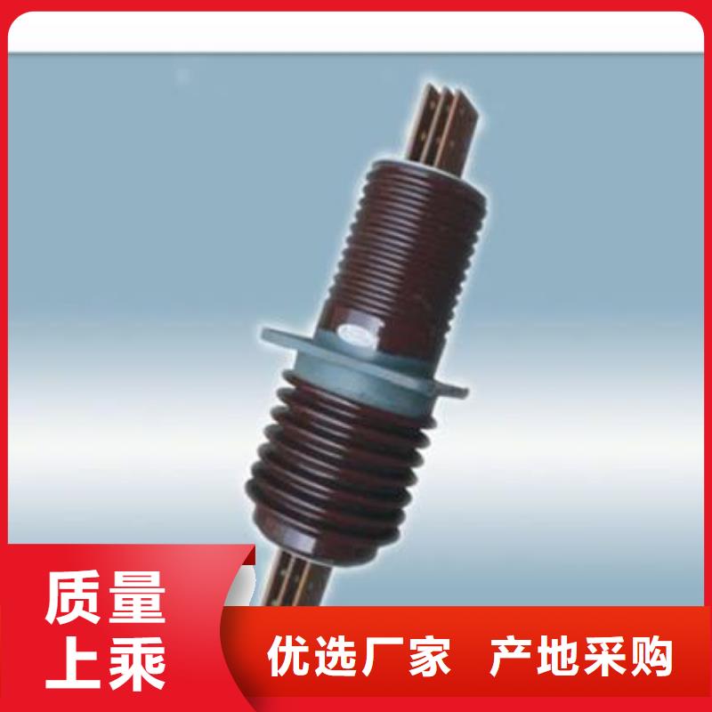 FCWW-12/1600高压套管