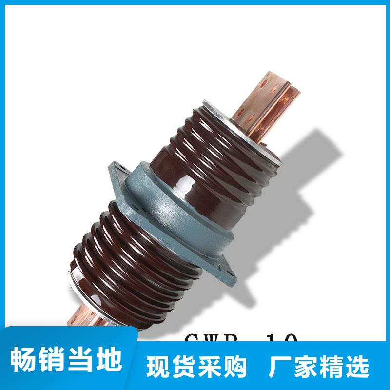 CWWC-35/1000A高压套管