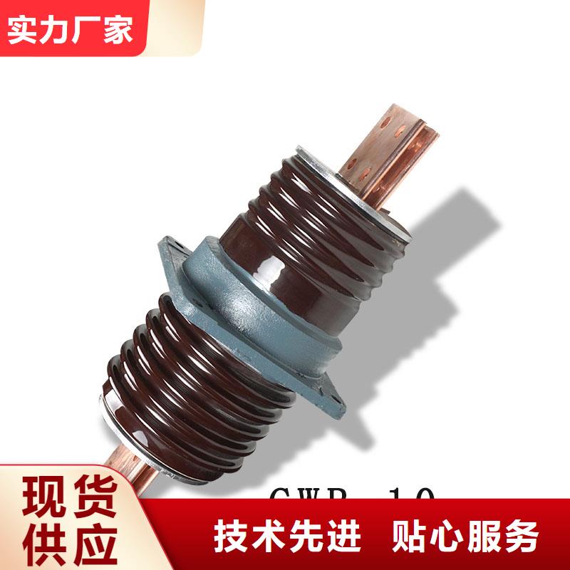CWWB-40.5/630A高压穿墙套管