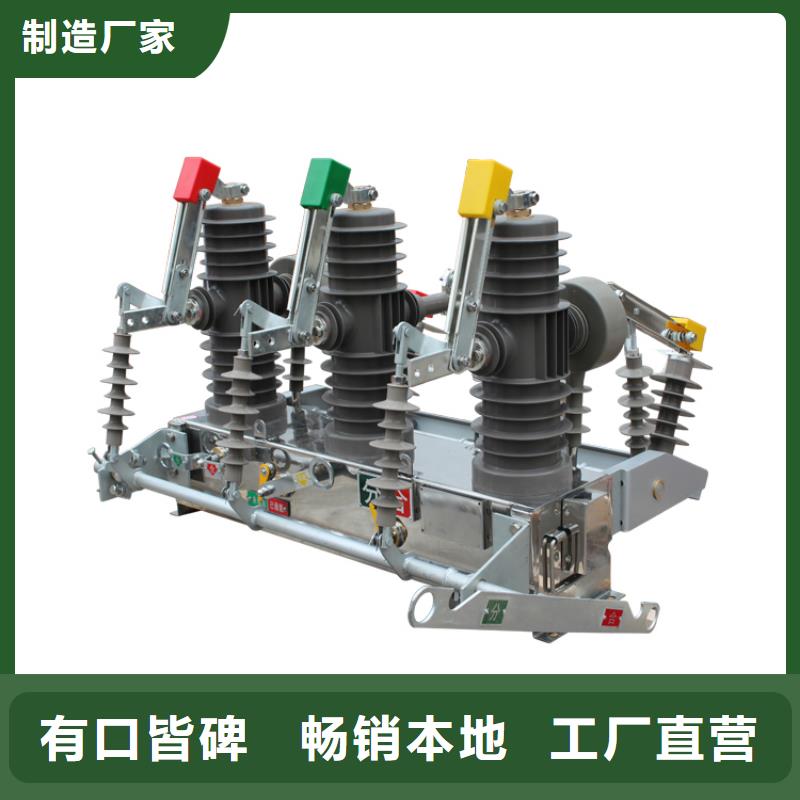 ZW32-40.5/T630-20真空断路器