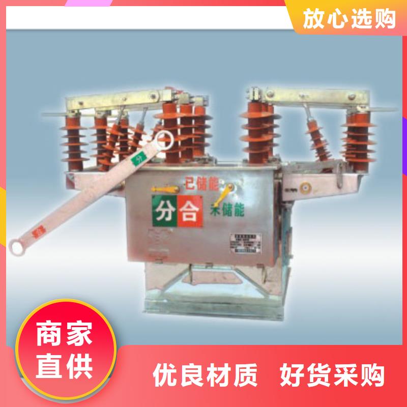 ZW32-40.5/T630-20真空断路器