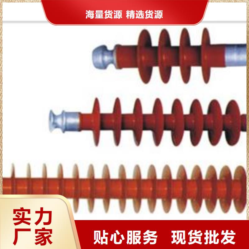 DXN-35T高压带电显示器