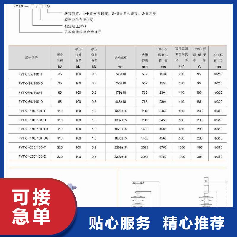 ZJ3-24Q/75*210高压环氧树脂绝缘子