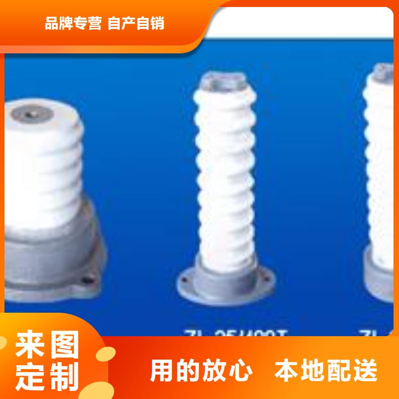 ZJ-35KV/120*320高压绝缘子