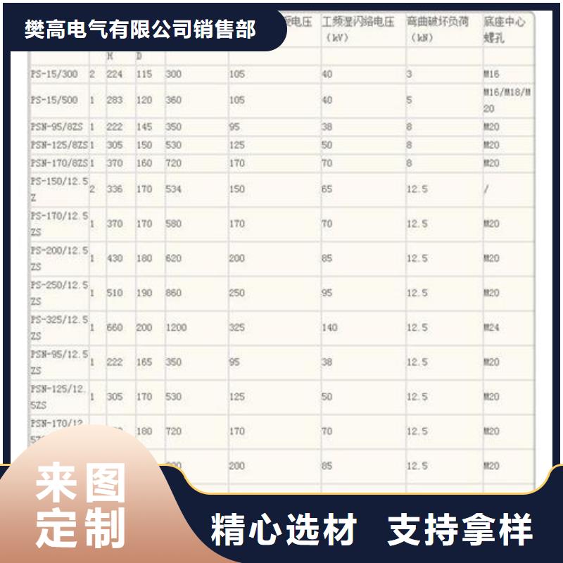 ZJ-10Q75*130高压绝缘子