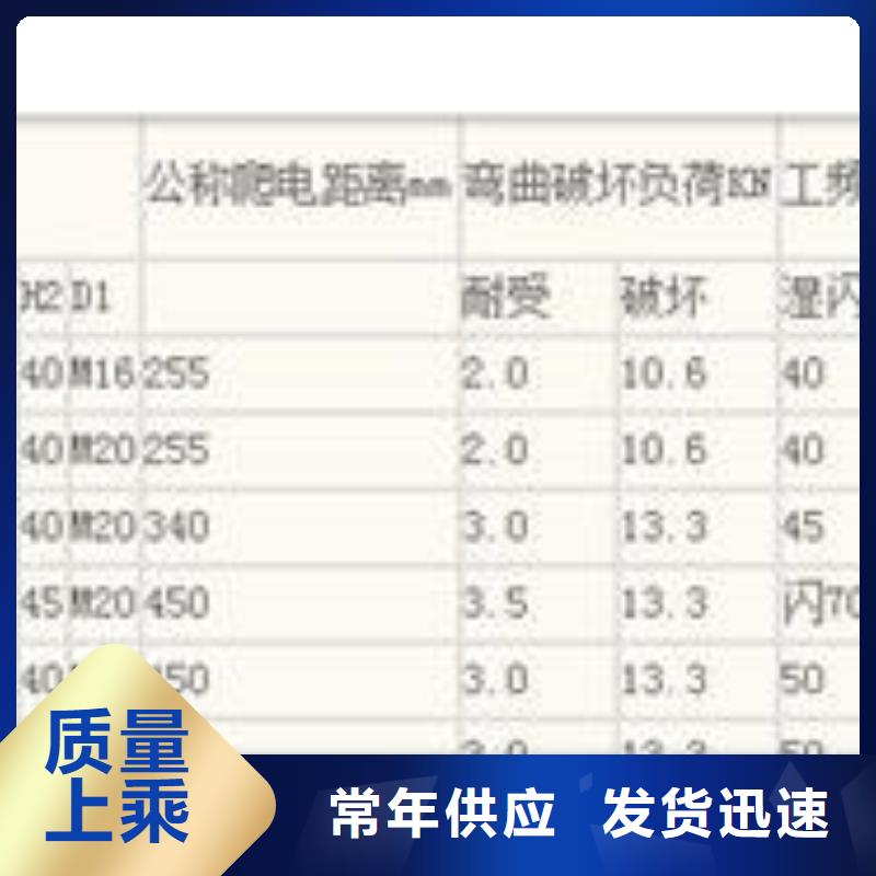 ZJ-10Q75*130高压绝缘子