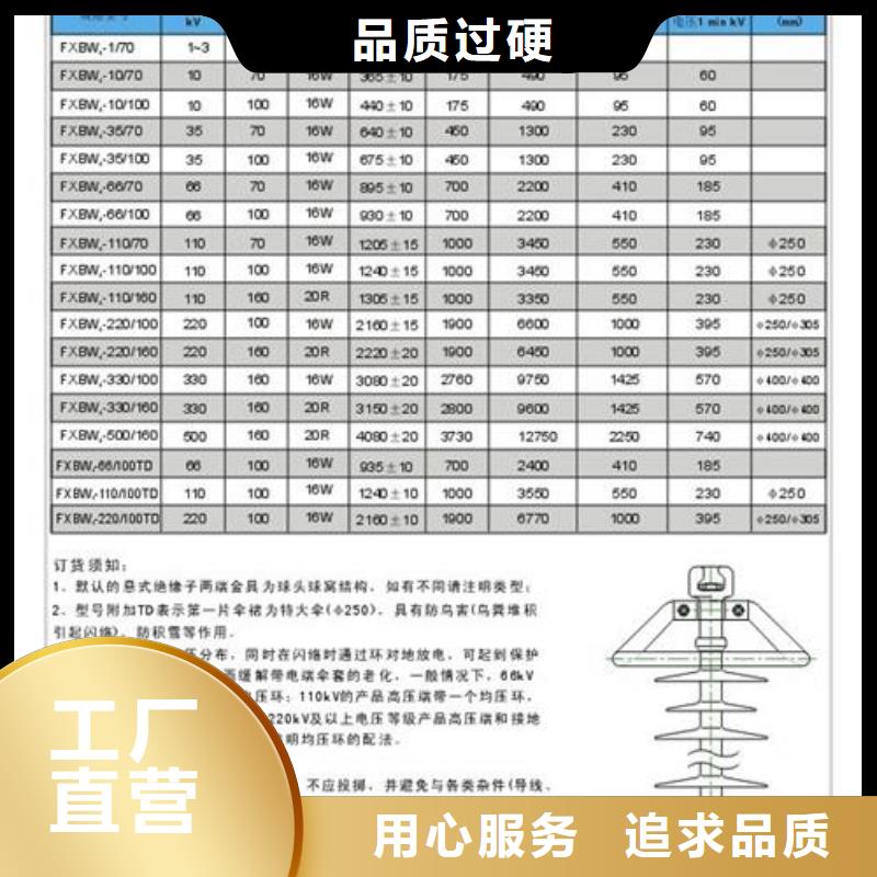 ZJ-35KV/120*320高压绝缘子