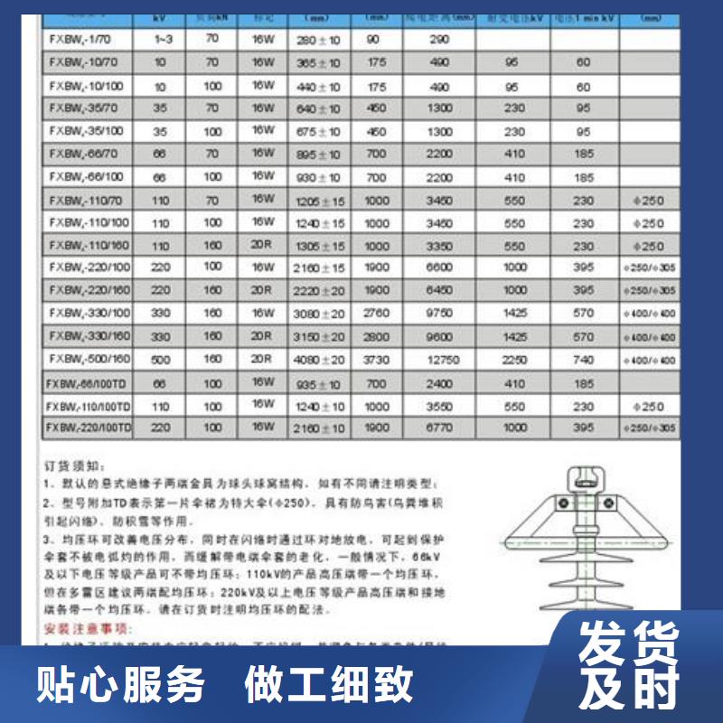 ZJ-10Q75*130高压绝缘子