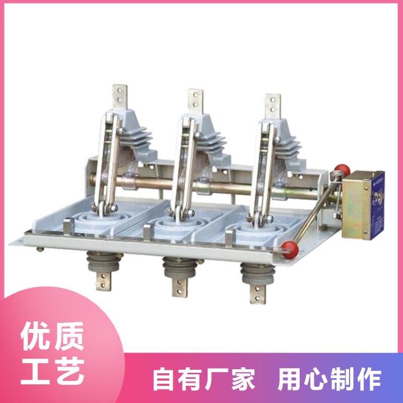 HGW9-10/1000A高压隔离刀闸