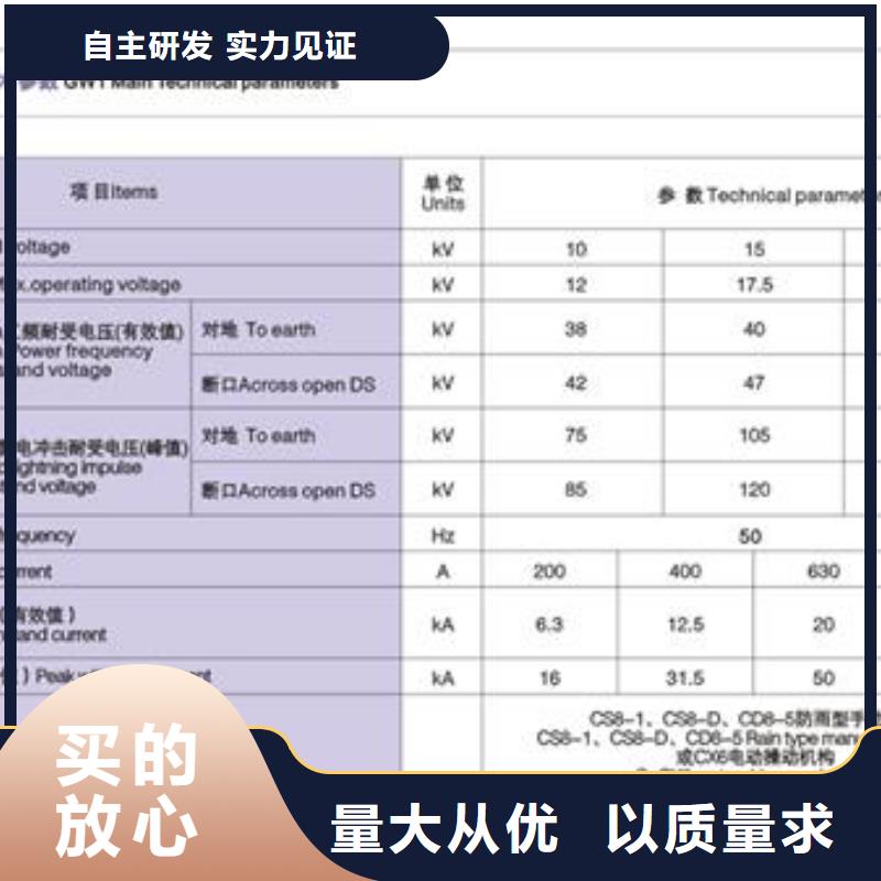 GWR2-0.5/200A低压刀熔开关