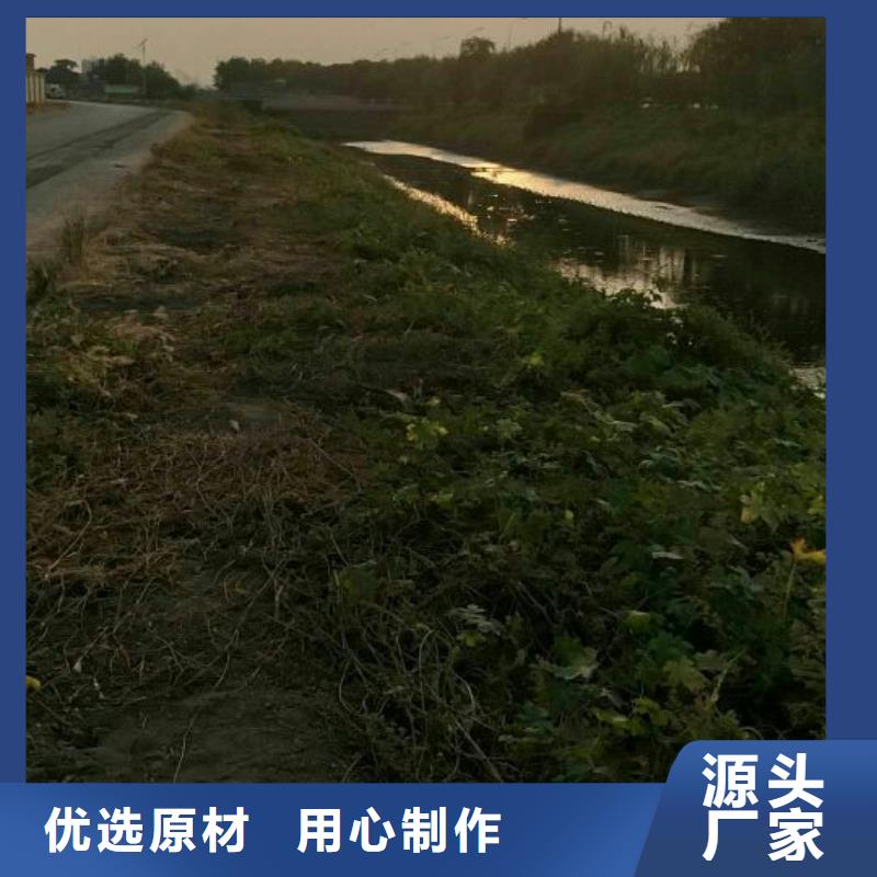 污泥改性剂土壤固化剂污泥改性剂技术