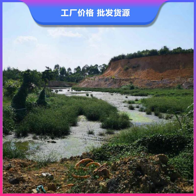 污泥处理沙土固化剂产地货源